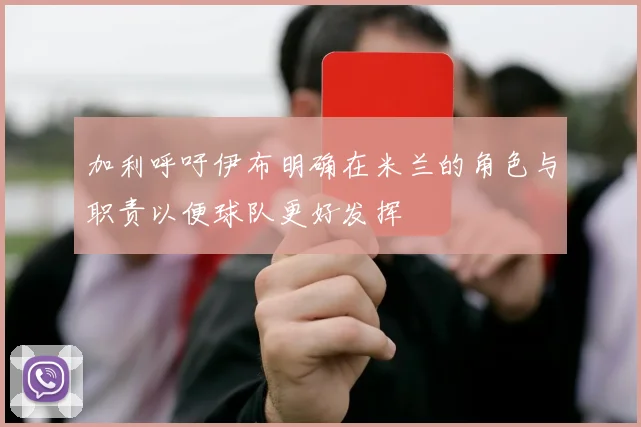 加利呼吁伊布明确在米兰的角色与职责以便球队更好发挥