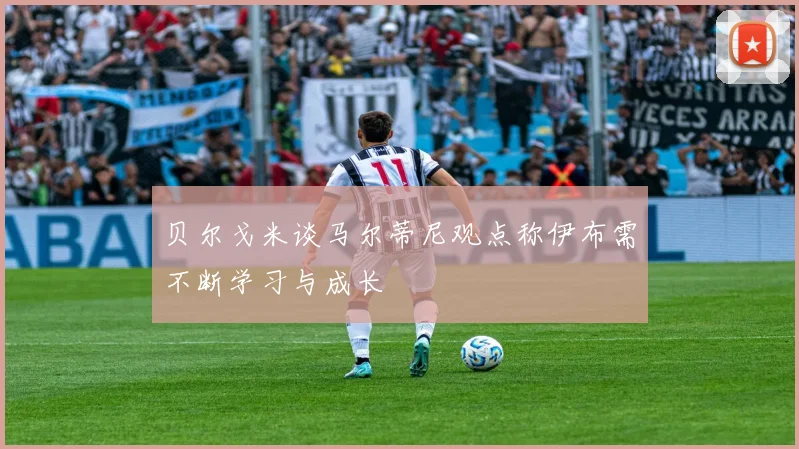 贝尔戈米谈马尔蒂尼观点称伊布需不断学习与成长